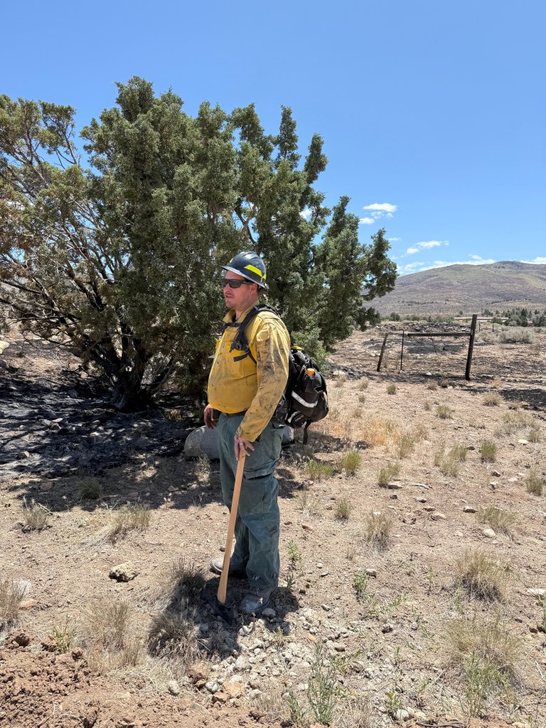 A firefighter standing in a dry landscape with a shovel, wearing a yellow fire-resistant shirt and helmet, near a bush and burnt ground.