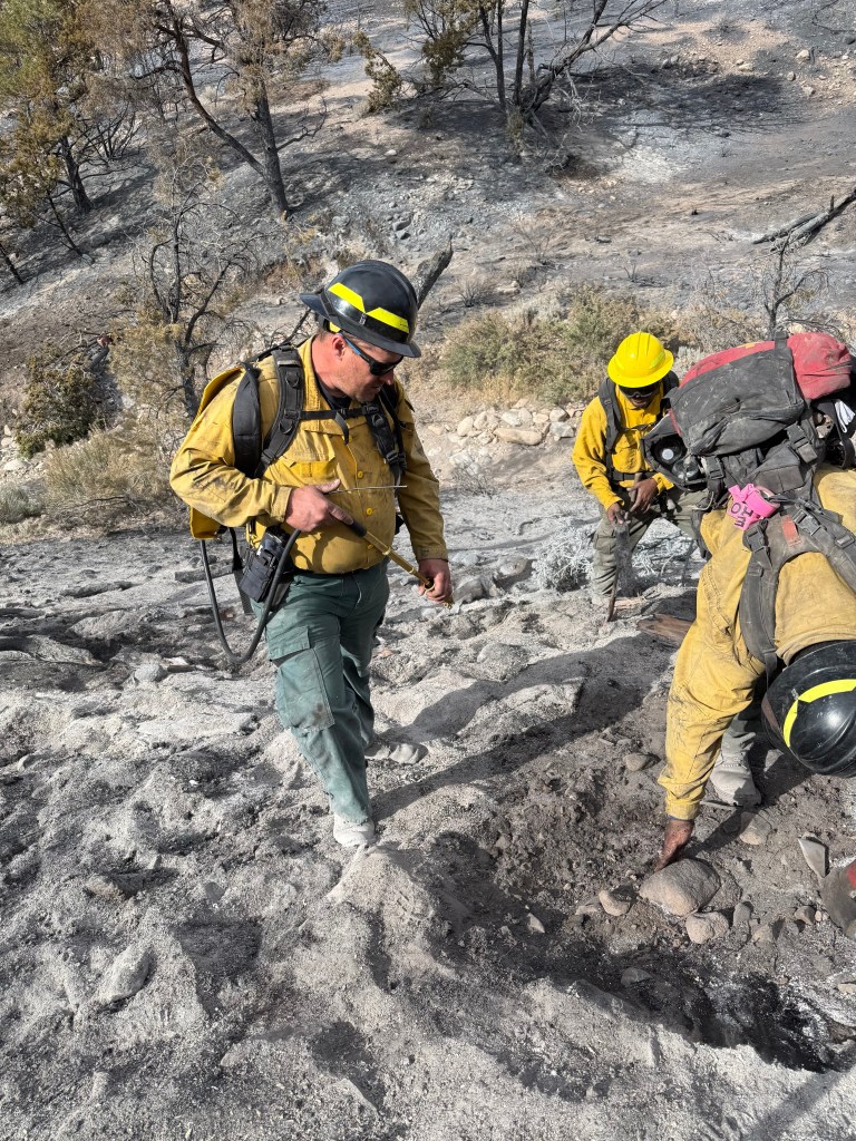 Firefighters working on a steep, ash-covered incline post-wildfire, with one firefighter examining the ground while others are digging.