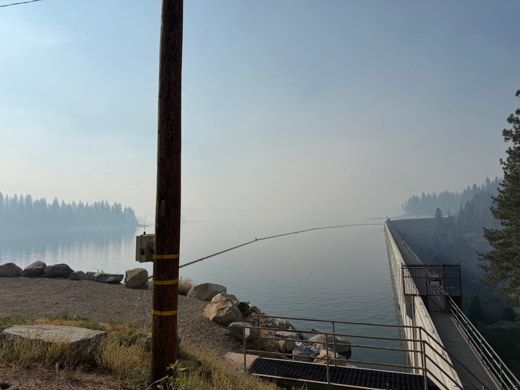 A serene view of a calm lake surrounded by trees, with a low fog creating a misty atmosphere. A wooden pole and a dock can be seen in the foreground.