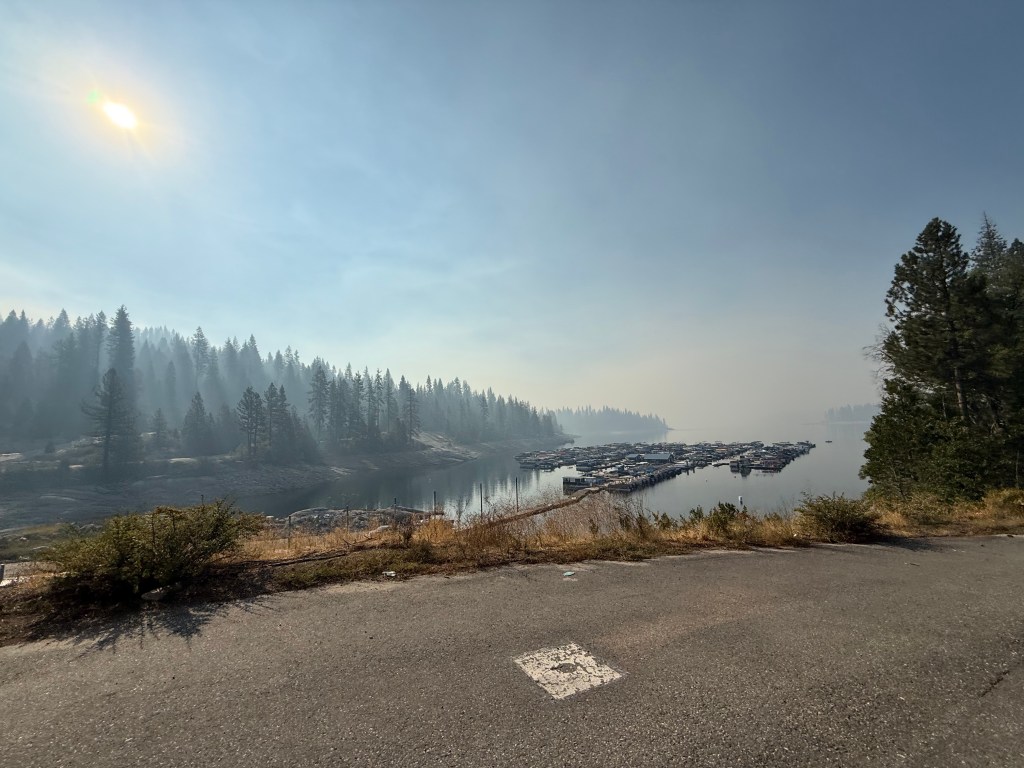 A misty lake view with a marina and several boats docked, surrounded by coniferous trees and a hazy sky.