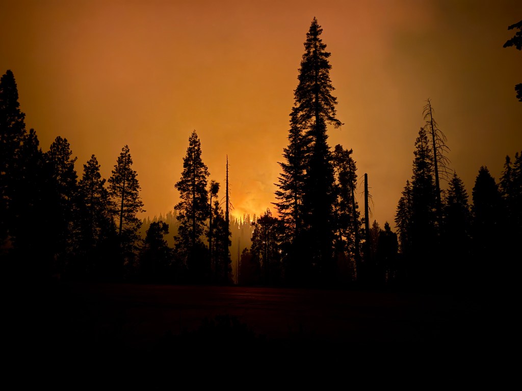 Silhouetted trees against an orange and smoky sky, indicating a wildfire at dusk.