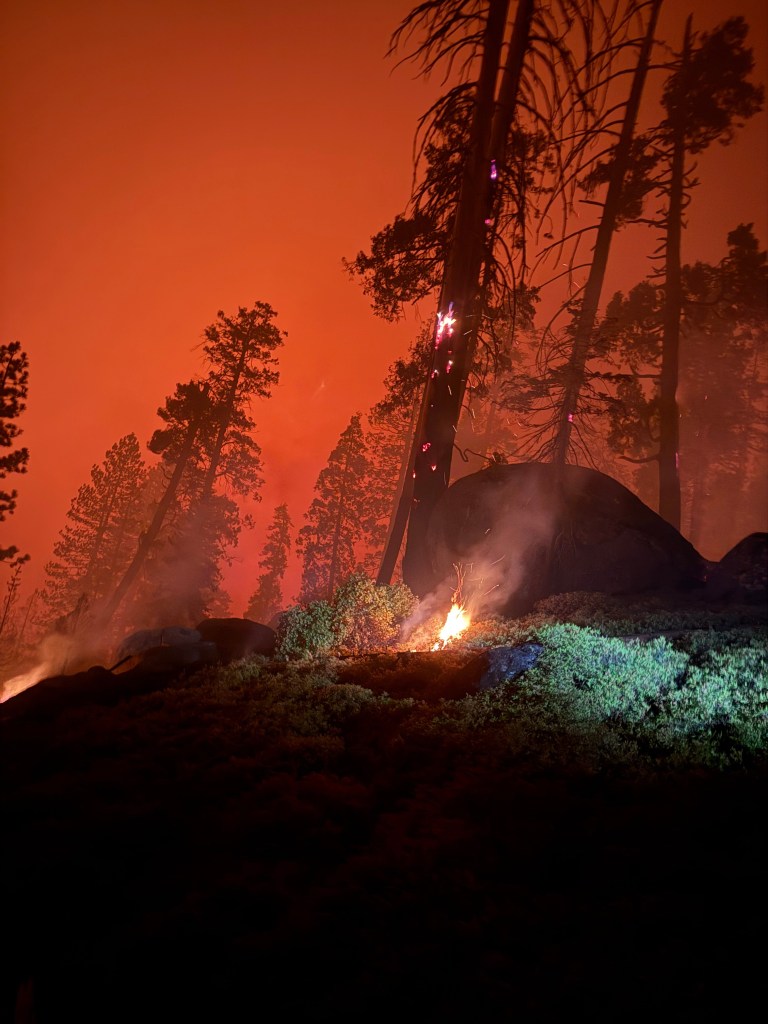 A forest scene engulfed in wildfire, with glowing embers and flames amid silhouetted trees against an orange sky.
