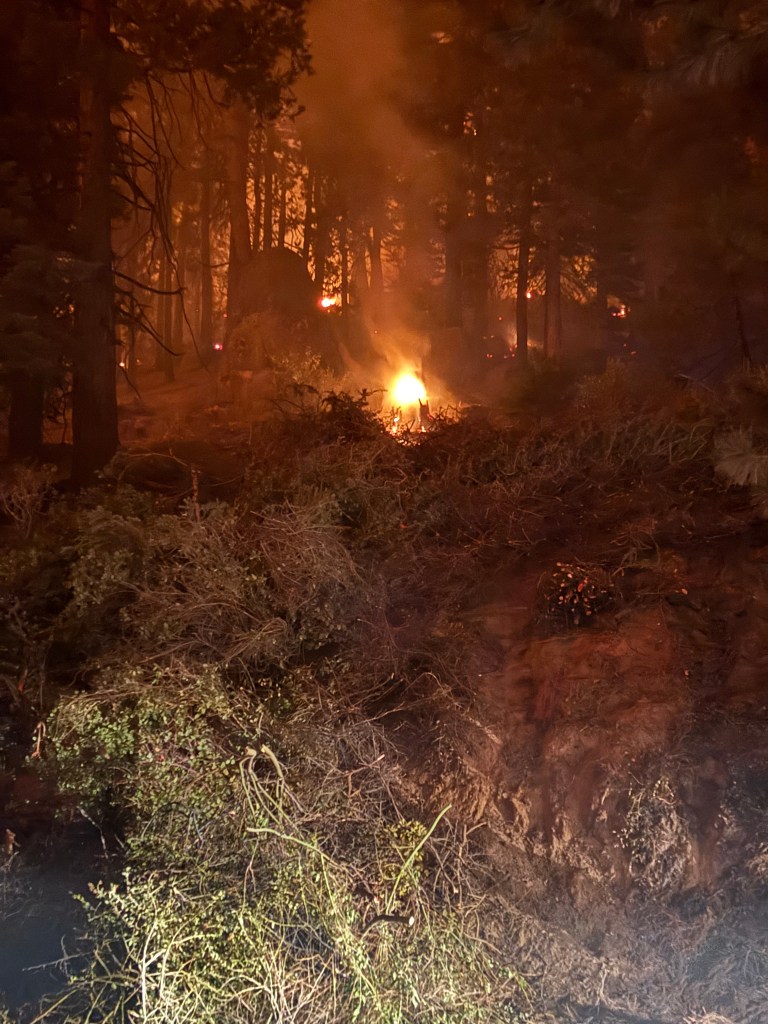 A forest scene illuminated by a fire, with flames and smoke visible among the trees and underbrush in a dark environment.