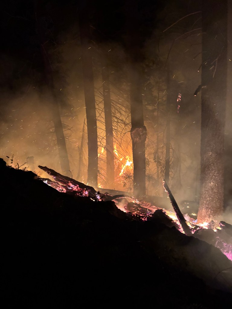A nighttime scene of a forest fire with burning trees, smoke, and glowing embers on the ground.