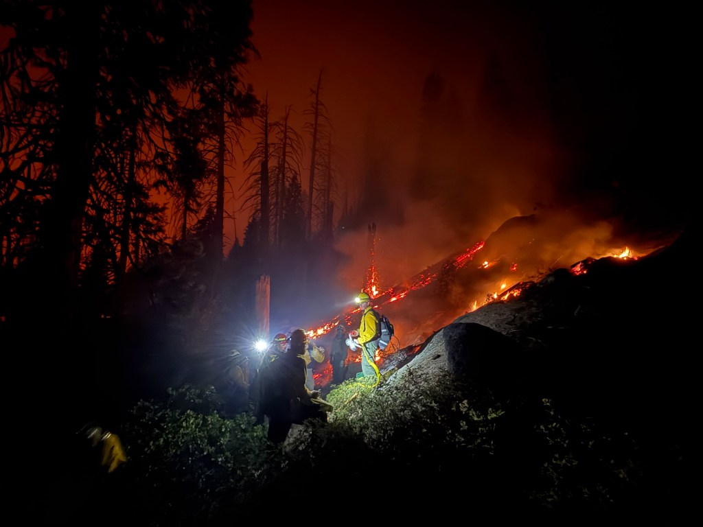 Wildland firefighters with headlamps working on a steep hillside at night while a forest fire burns in the background.